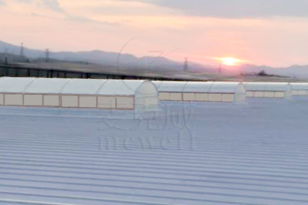 維龍智慧物流園—廣東圓拱型排煙天窗 維龍智慧物流園—廣東圓拱型排煙天窗